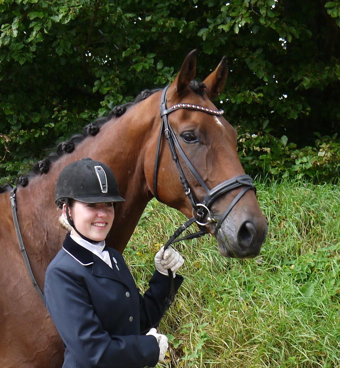 Dansk Varmblod Møllegårdens De Niz - Kærlighed siger mere end tusind ord <3 billede 4