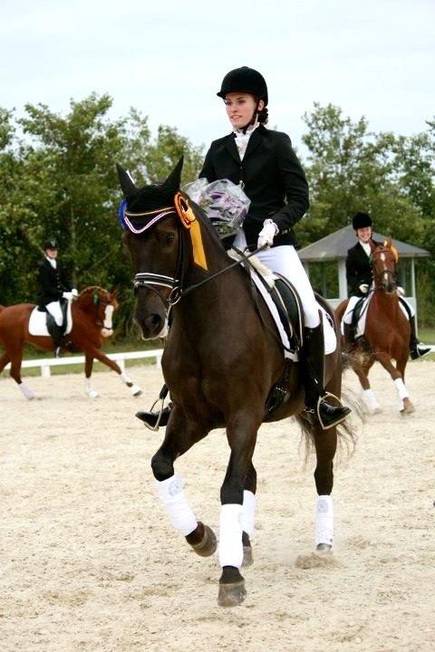 New Forest Kikkenberg's Rikki B-pony billede 1