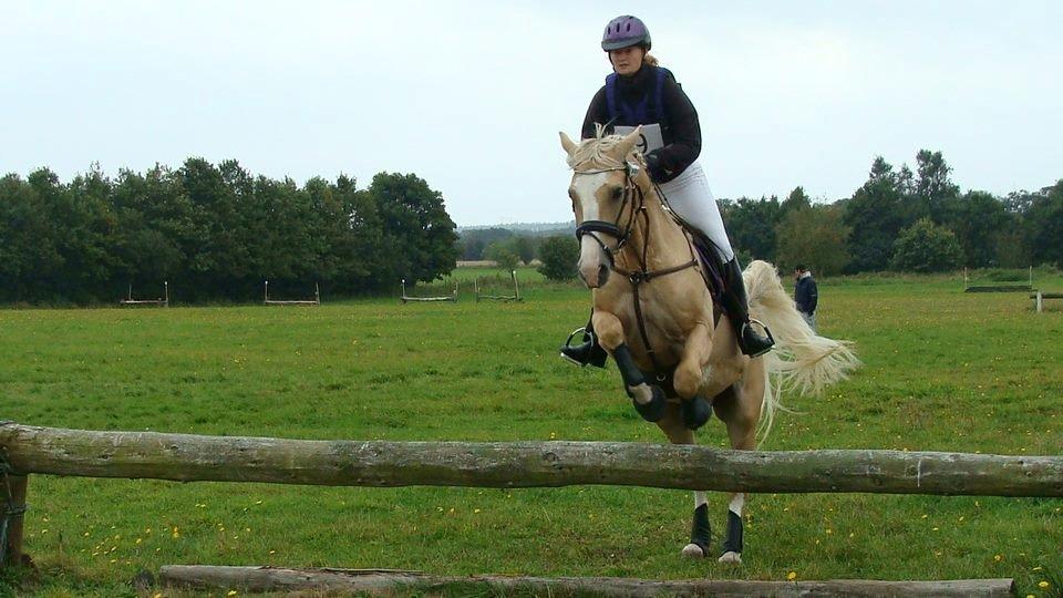 Palomino Coco`s Calypso - opvarmning til cnc80 vejen sept 12 billede 10