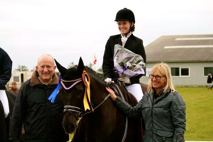 New Forest Kikkenberg's Rikki B-pony billede 5