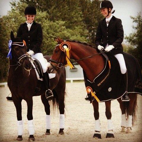 New Forest Kikkenberg's Rikki B-pony billede 6