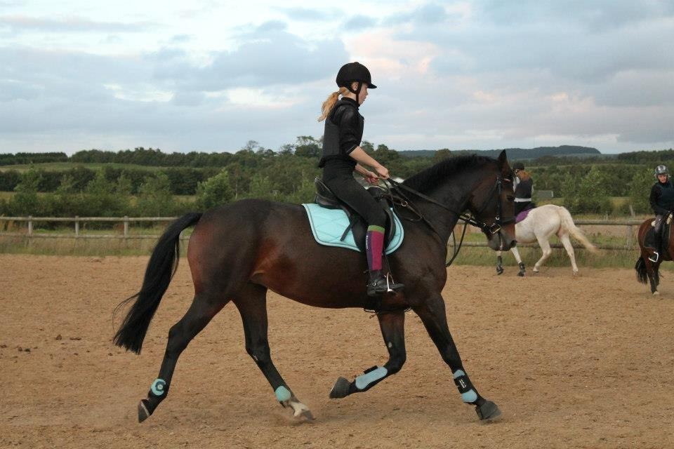 Oldenborg *-* Østerhjelms Labell *-* billede 11