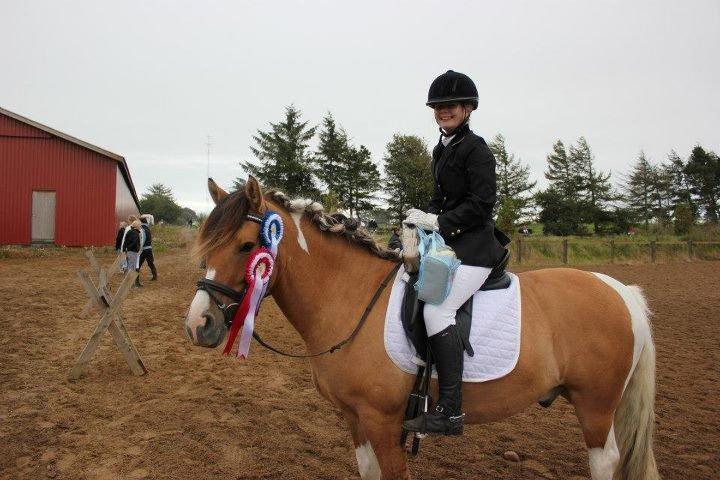 Anden særlig race Charming *Tidl. Part* - En stjerne pony! :) billede 12