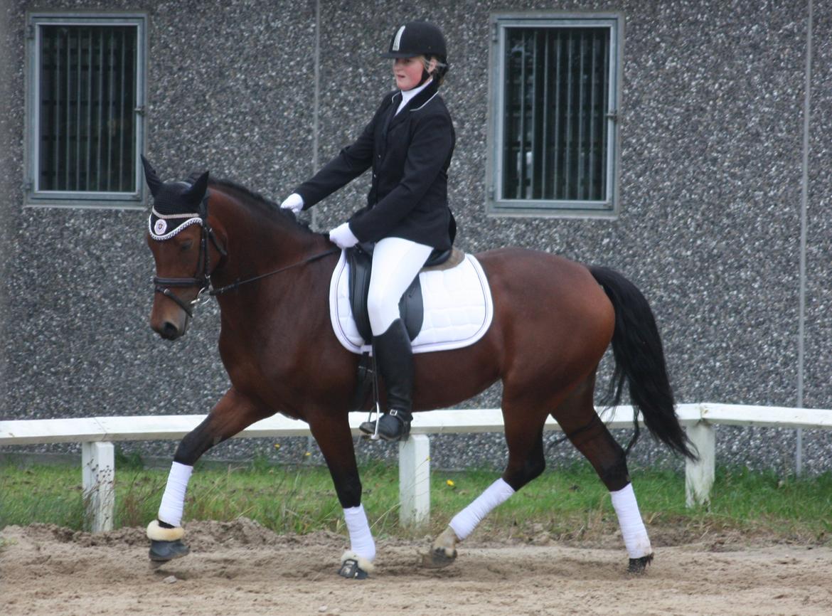 DSP Shamrocks Massa E Cozzile - 16-09/12 ~ Første stævne LD2 i HERI billede 5