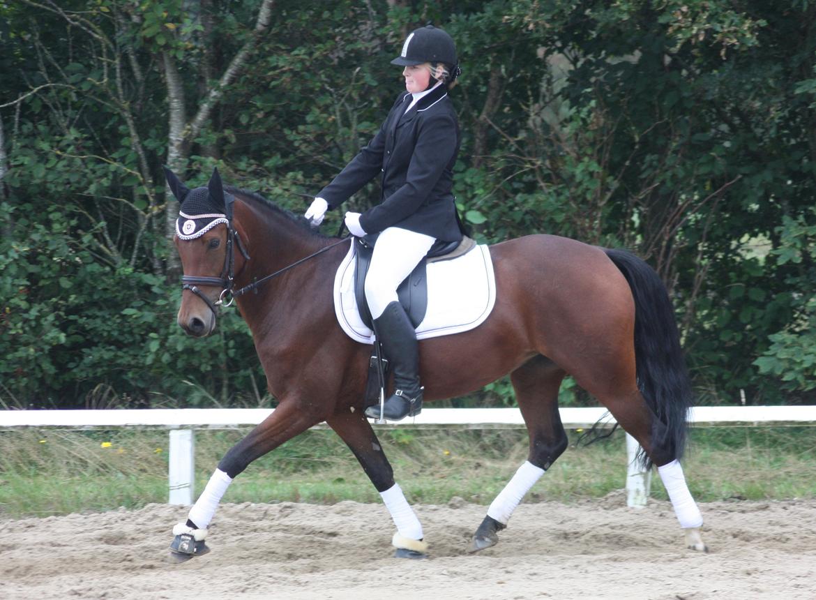 DSP Shamrocks Massa E Cozzile - 16-09/12 ~ Første stævne LD2 i HERI billede 6