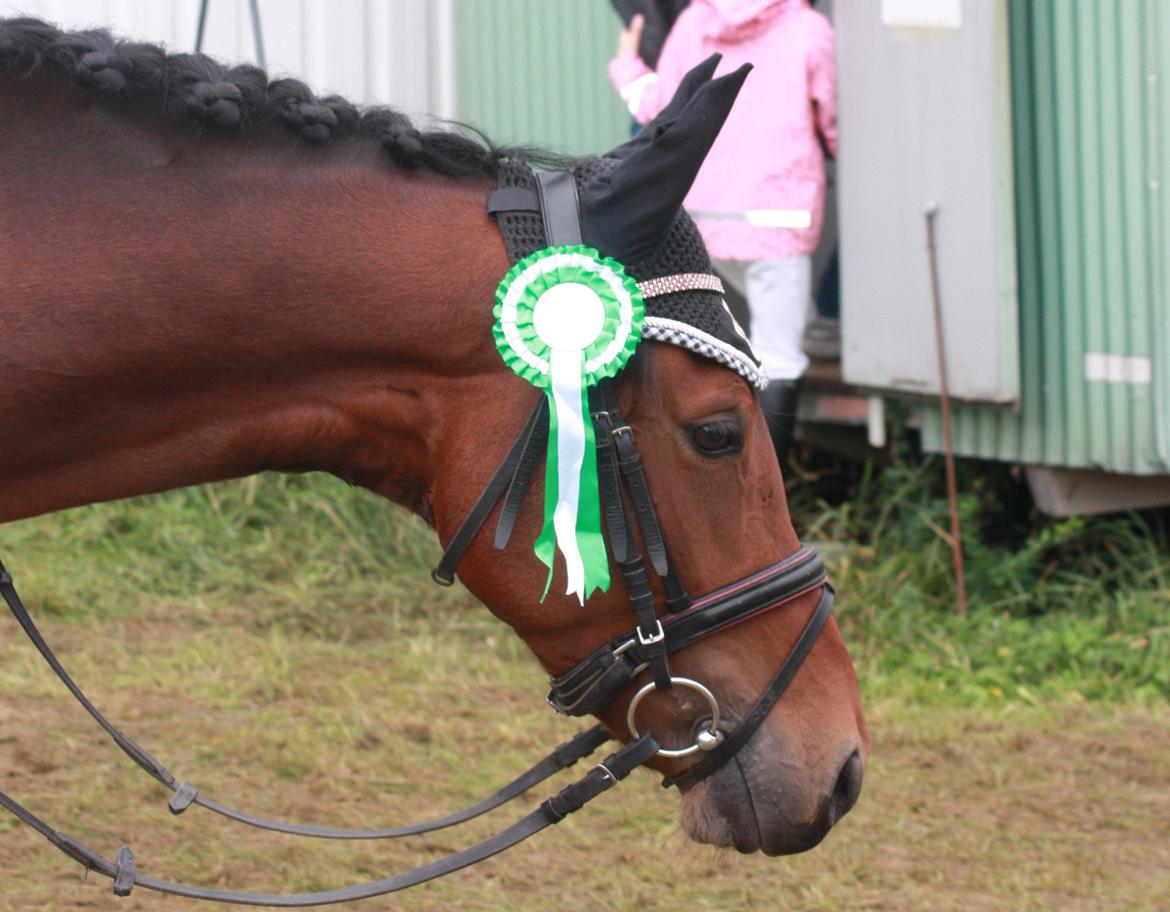 DSP Shamrocks Massa E Cozzile - første stævne på ponyen blev jeg nummer 3 billede 8