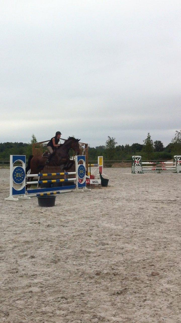 Holstener GREENHEART - STJERNEN! <3 billede 14