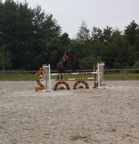 Holstener GREENHEART - STJERNEN! <3 billede 16