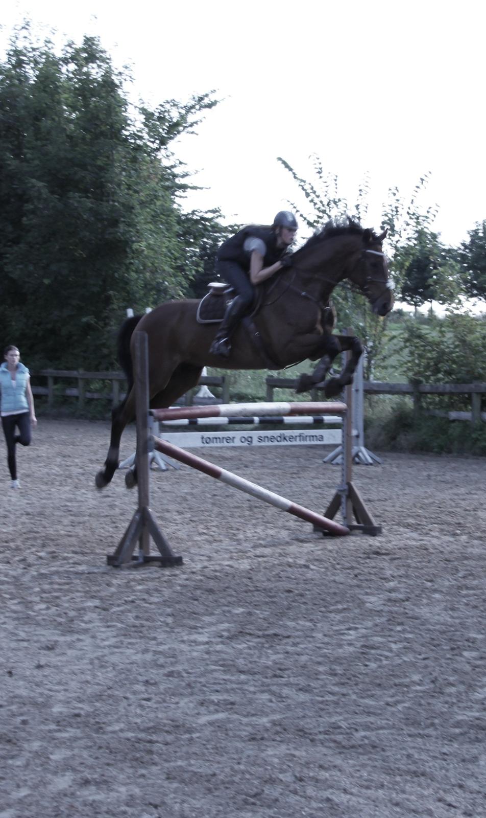 Holstener GREENHEART - STJERNEN! <3 billede 19