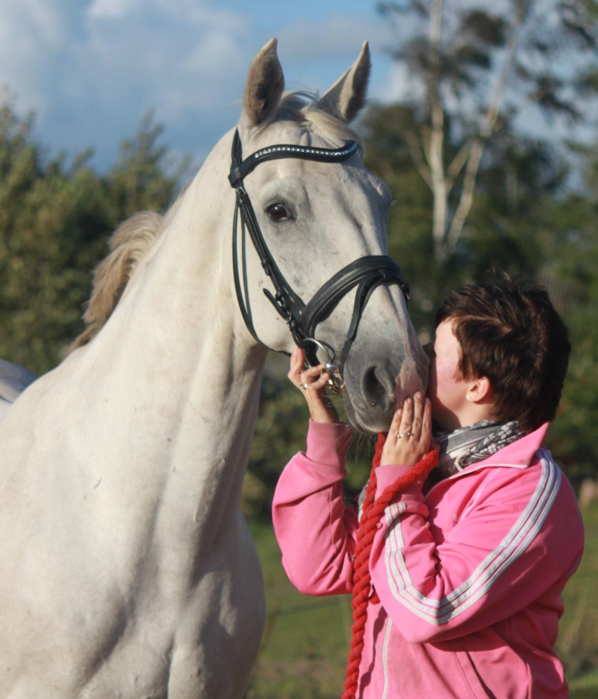 Dansk Varmblod Corland IV billede 10