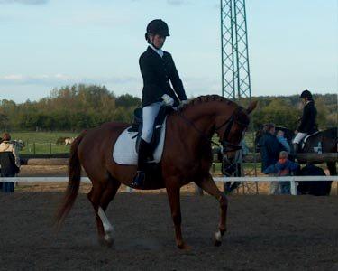 Anden særlig race Rubin - Første dressur stævne LB1 - 15. Maj 2006 (© - Må ikke kopieres) billede 12