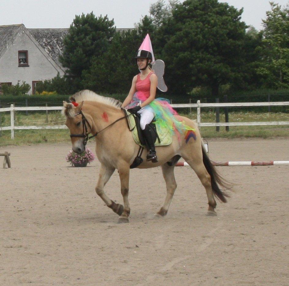 Fjordhest - Fabel Stanstorp - Kvadrille til Kalundborgmesterskabet ;) billede 10