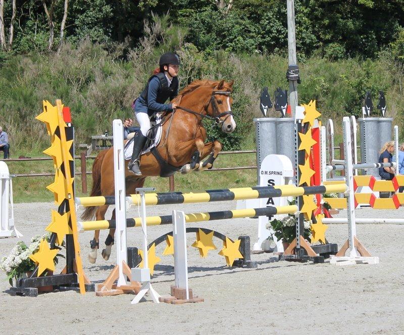 DSP Lejaro Rouge billede 3