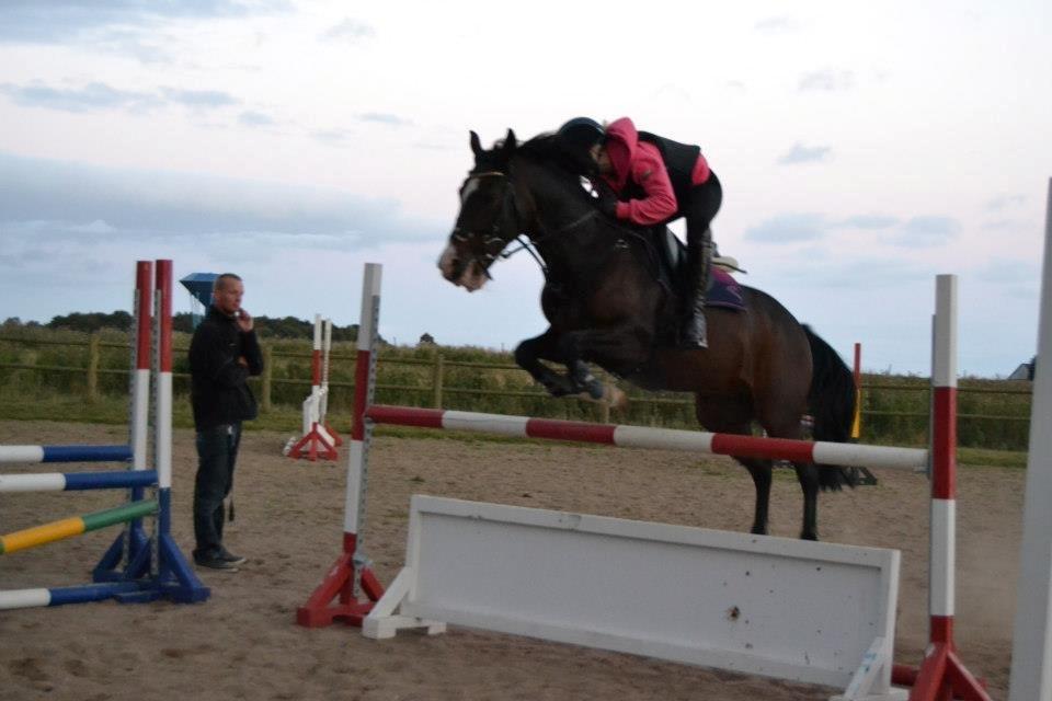 Tysk Sportspony Gotaro - Første springundervining! 
havde kun haft ham i 3 dage der..
 billede 6