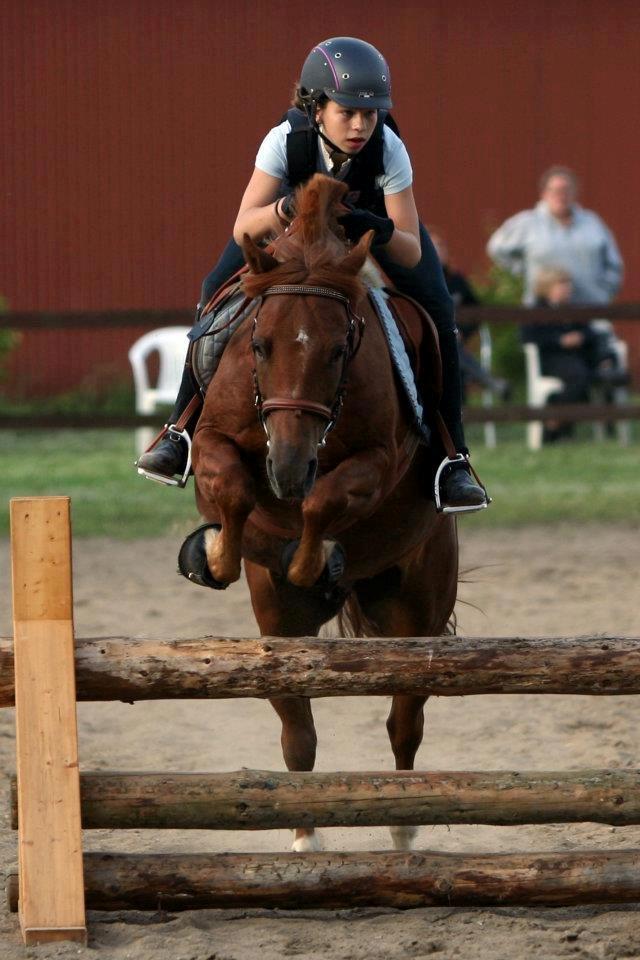 Anden særlig race Fighter *Nu søster´s Pony*<3 - Min dejlige Prinz til vores første Military træning <3 <3  billede 7