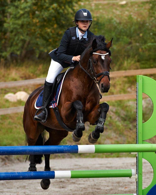 Connemara Ballycullen Lass (Bally) - Første stævne på Bally, her i LA på Egene billede 1