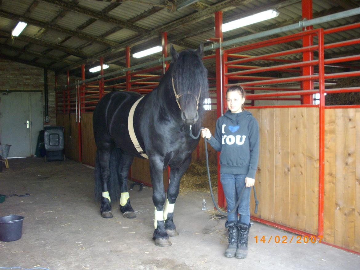 Frieser Marquis billede 3