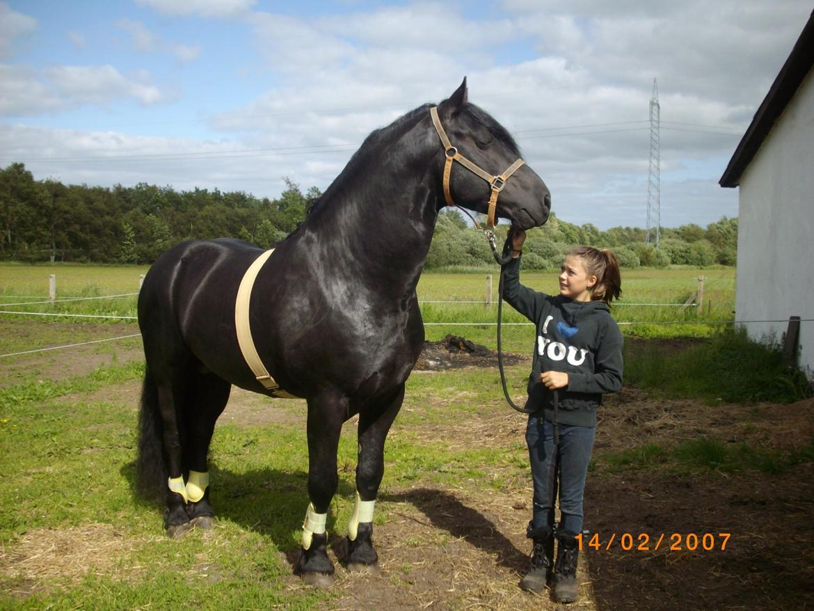 Frieser Marquis billede 4