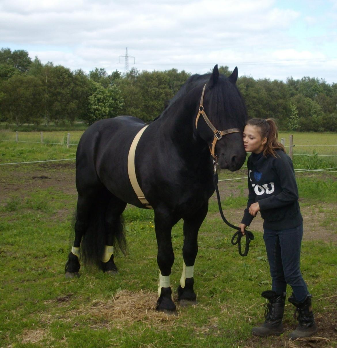 Frieser Marquis billede 1