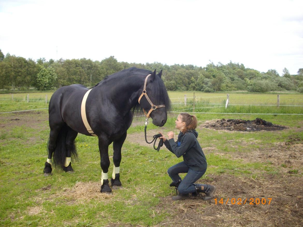 Frieser Marquis billede 5