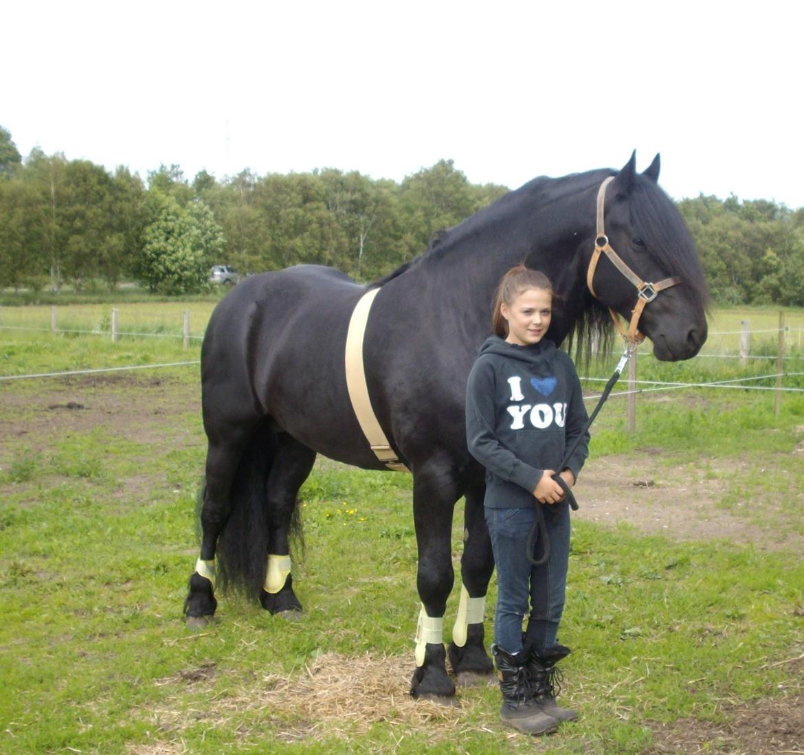 Frieser Marquis billede 7