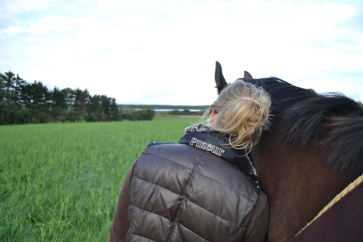 Dansk Varmblod Reloir - 18.09.12 Sidste dag med Reloir <3 billede 18