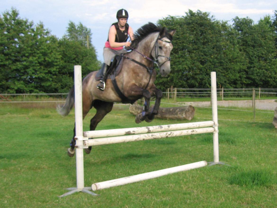 Holstener Ammeli billede 3