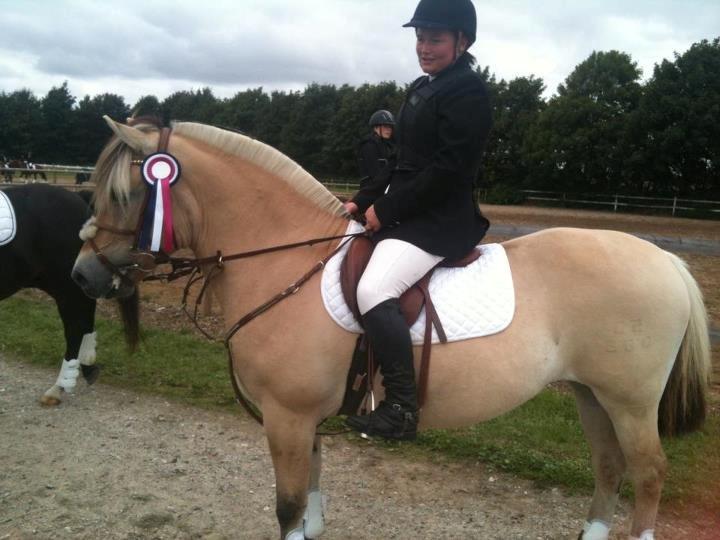 Fjordhest Kvornings Sisse R.I.P 02.12.12 billede 2