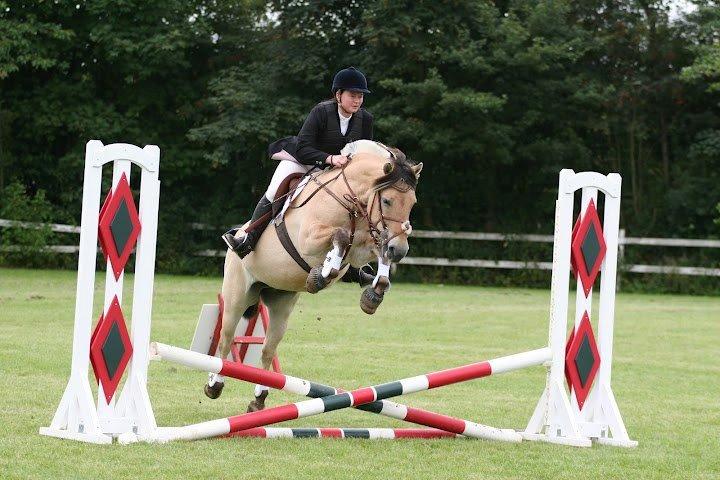 Fjordhest Kvornings Sisse R.I.P 02.12.12 billede 7