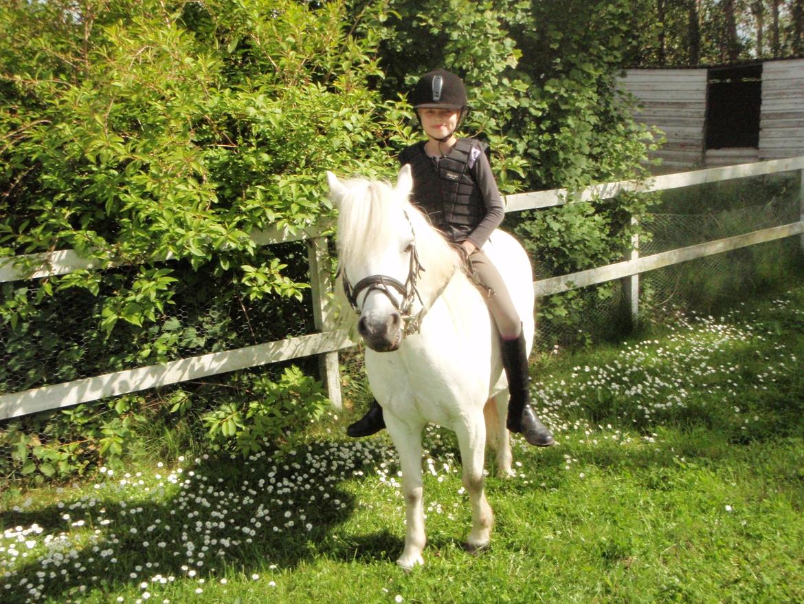 Anden særlig race Prins <3 billede 3