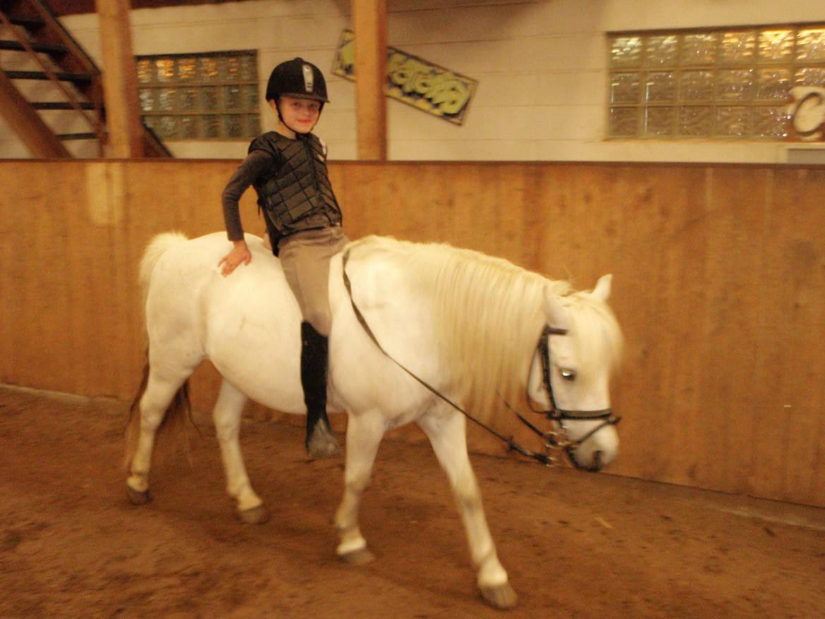 Anden særlig race Prins <3 billede 7