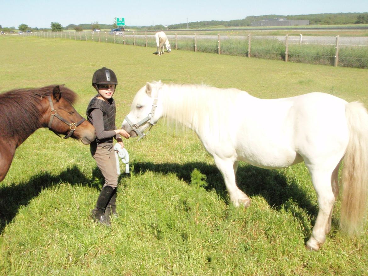 Anden særlig race Prins <3 - Der kommer Buller ;) Hehe... billede 14