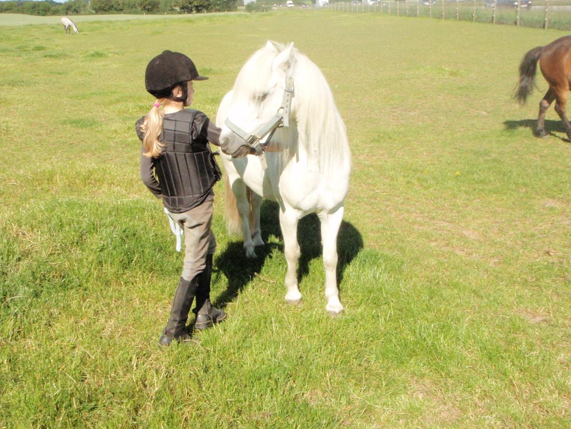 Anden særlig race Prins <3 billede 15