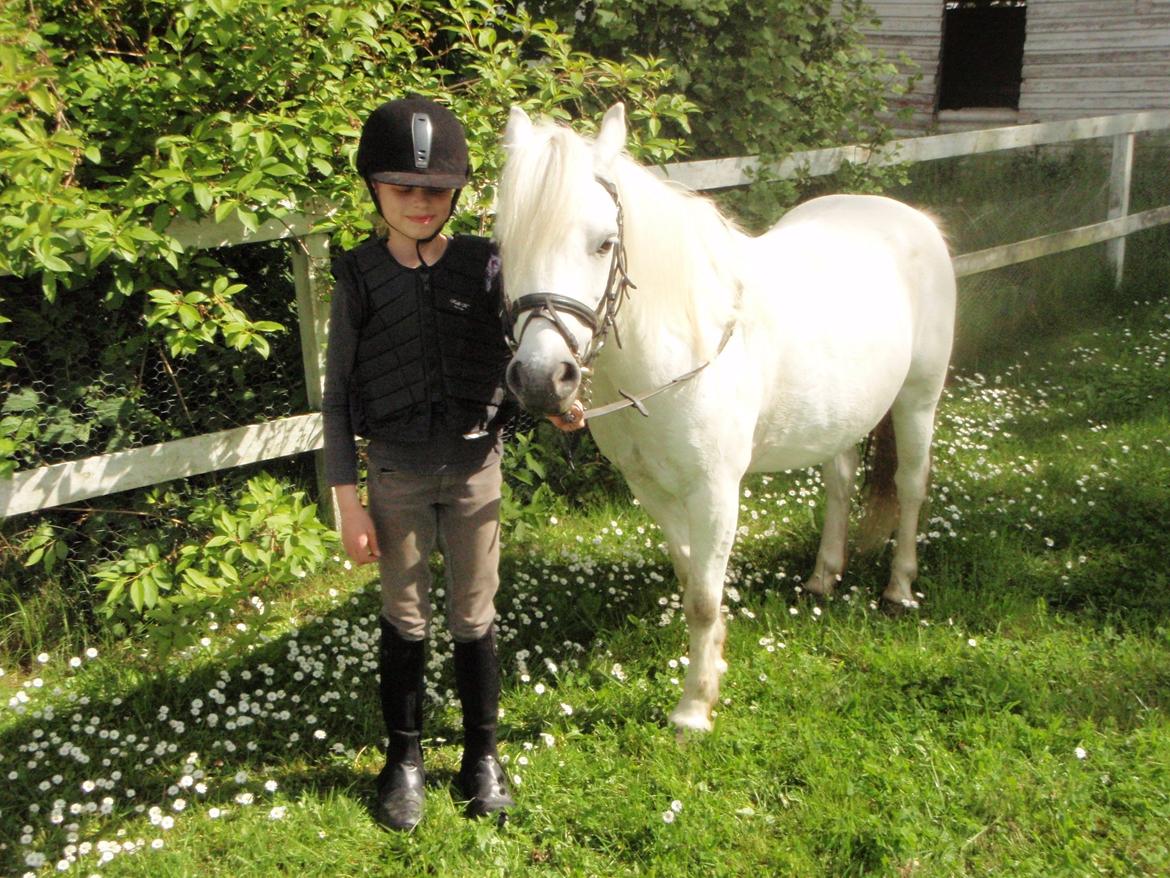 Anden særlig race Prins <3 billede 12