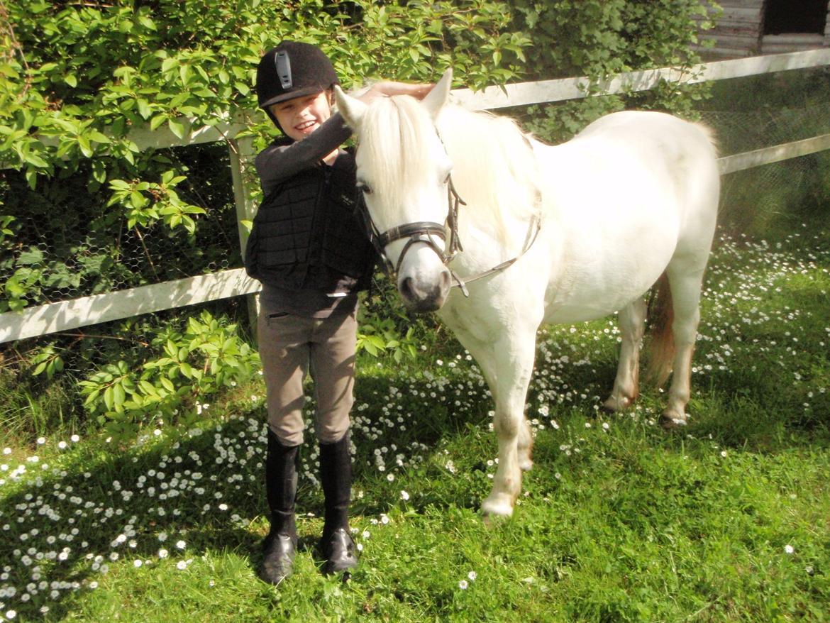 Anden særlig race Prins <3 billede 19
