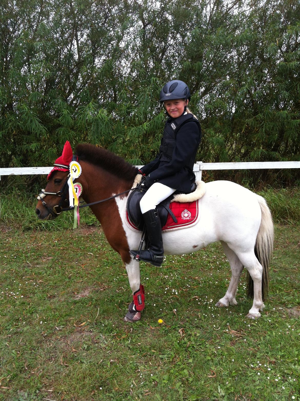Anden særlig race Lucas (signe) - Stævne KØR  aug 2012
40+50 cm B0 billede 15