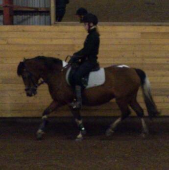 Anden særlig race Frig billede 14