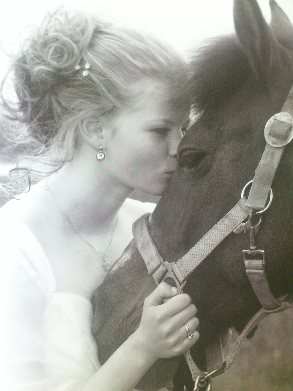 Anden særlig race Frig - dejlige pony, glemmer dig aldrig! <3  billede 19