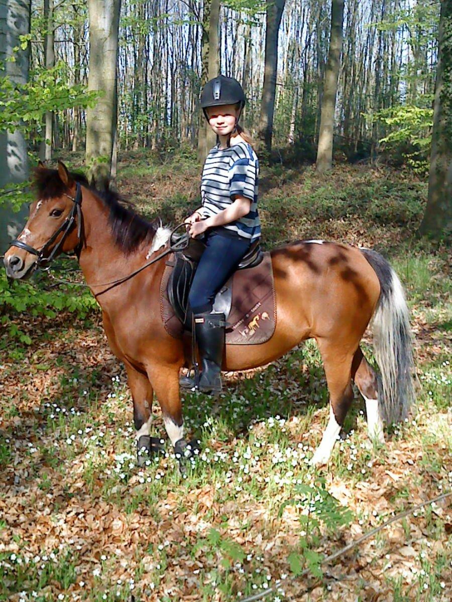 Anden særlig race Frig billede 15