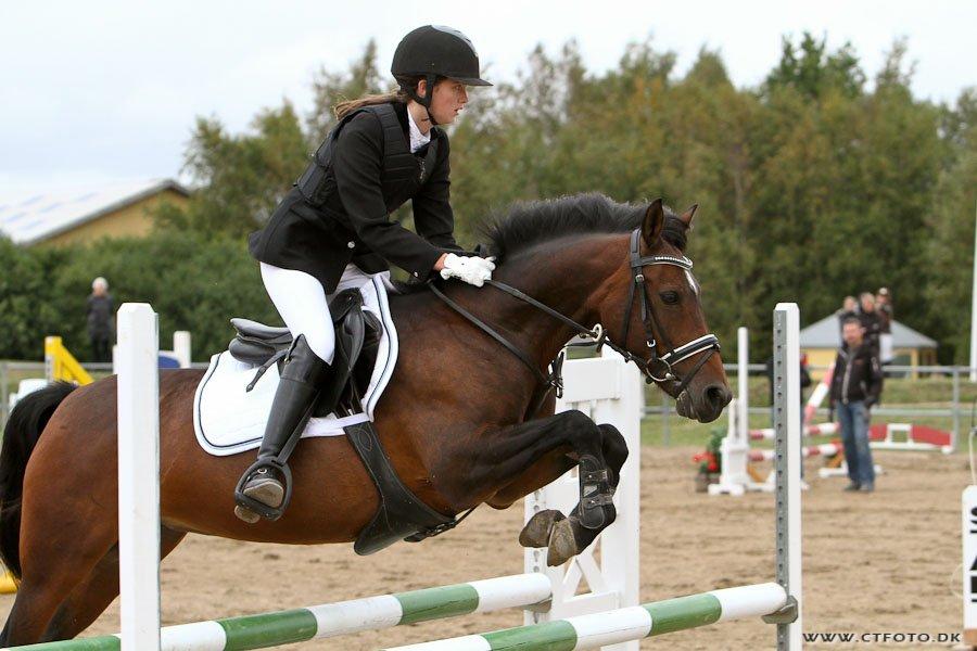 Welsh Partbred (Sec F) GROEZE'S JOSINA - Første stævne <3 0 fejl! billede 18