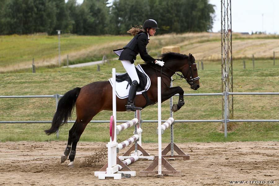 Welsh Partbred (Sec F) GROEZE'S JOSINA - Første stævne <3 0 fejl! billede 19