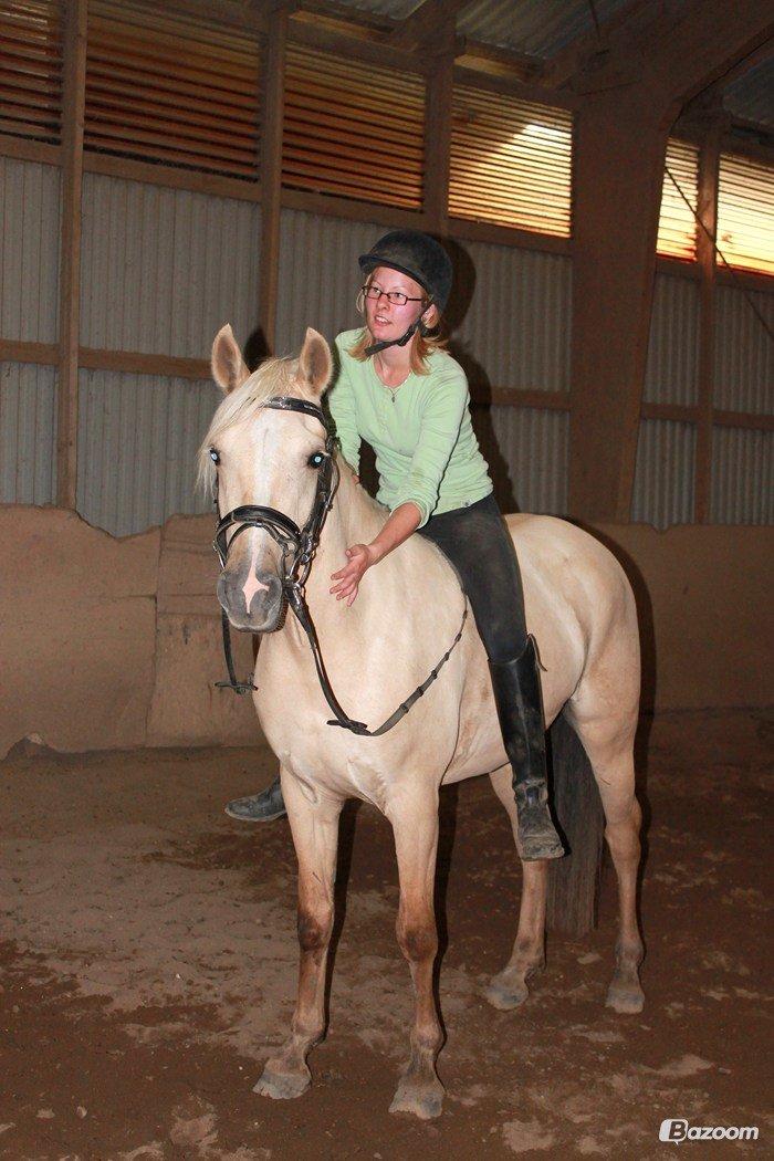 DSP Fjordbakkens Freja ~*Golden<3* - Hygge uden sadel. September 2012.  billede 1