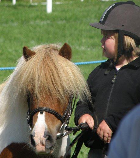 Shetlænder Stjernens Tarok - låne pony - Tarok til børnedyrskue i Borup 2010 billede 7