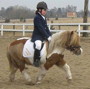 Shetlænder Stjernens Tarok - låne pony - Tarok og mig til stævne på RVV  billede 8