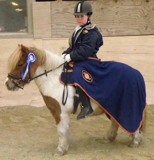 Shetlænder Stjernens Tarok - låne pony - 2 plac. LD2 2011 billede 9