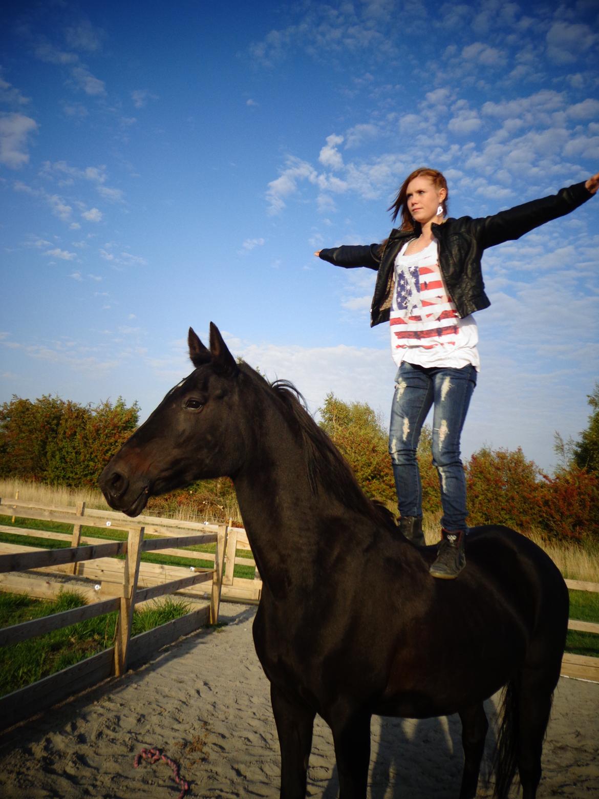 Anden særlig race Miss Shadow billede 6