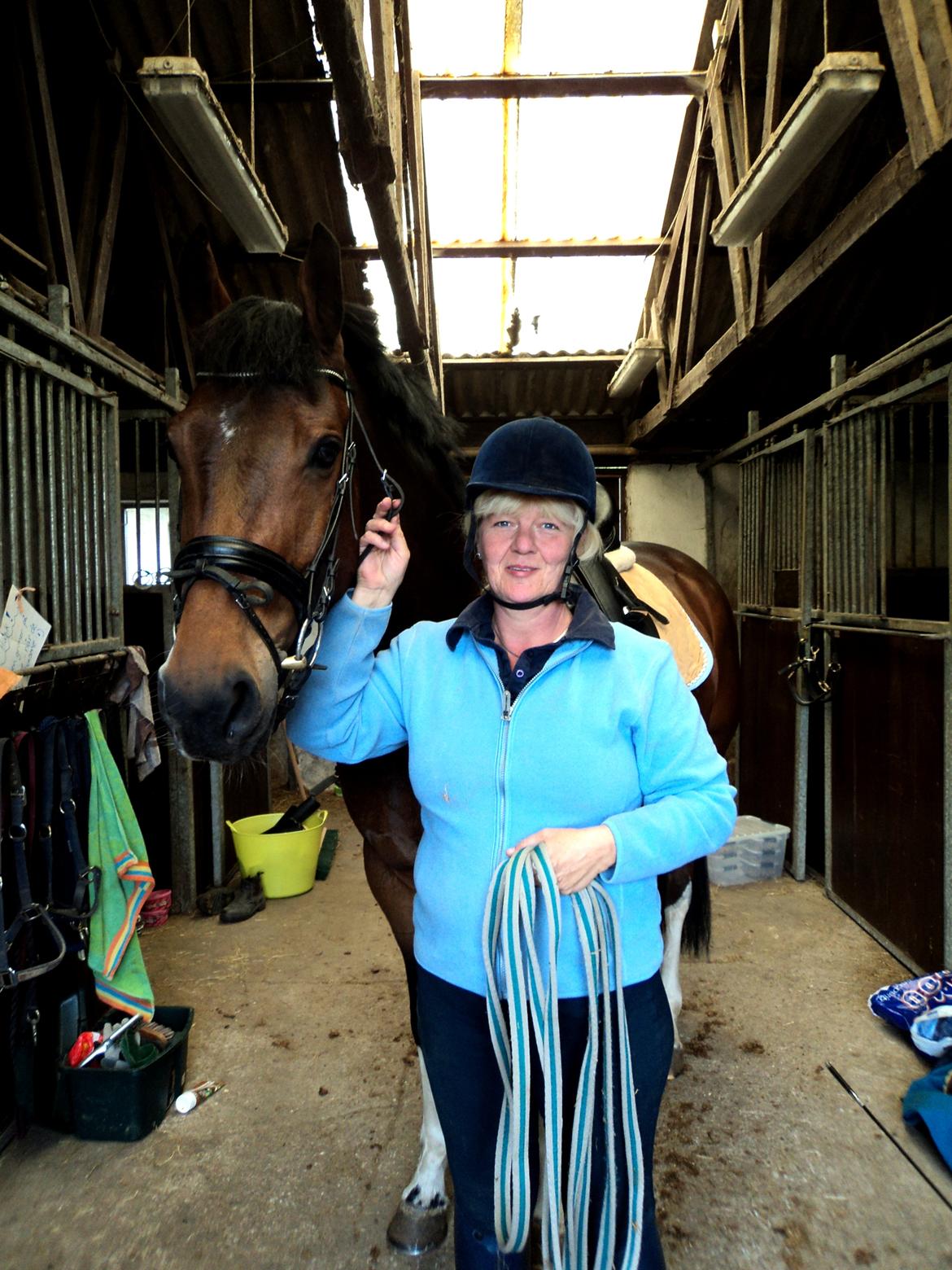 Hollandsk Varmblod B - Mor og B, sommer 2012 billede 15