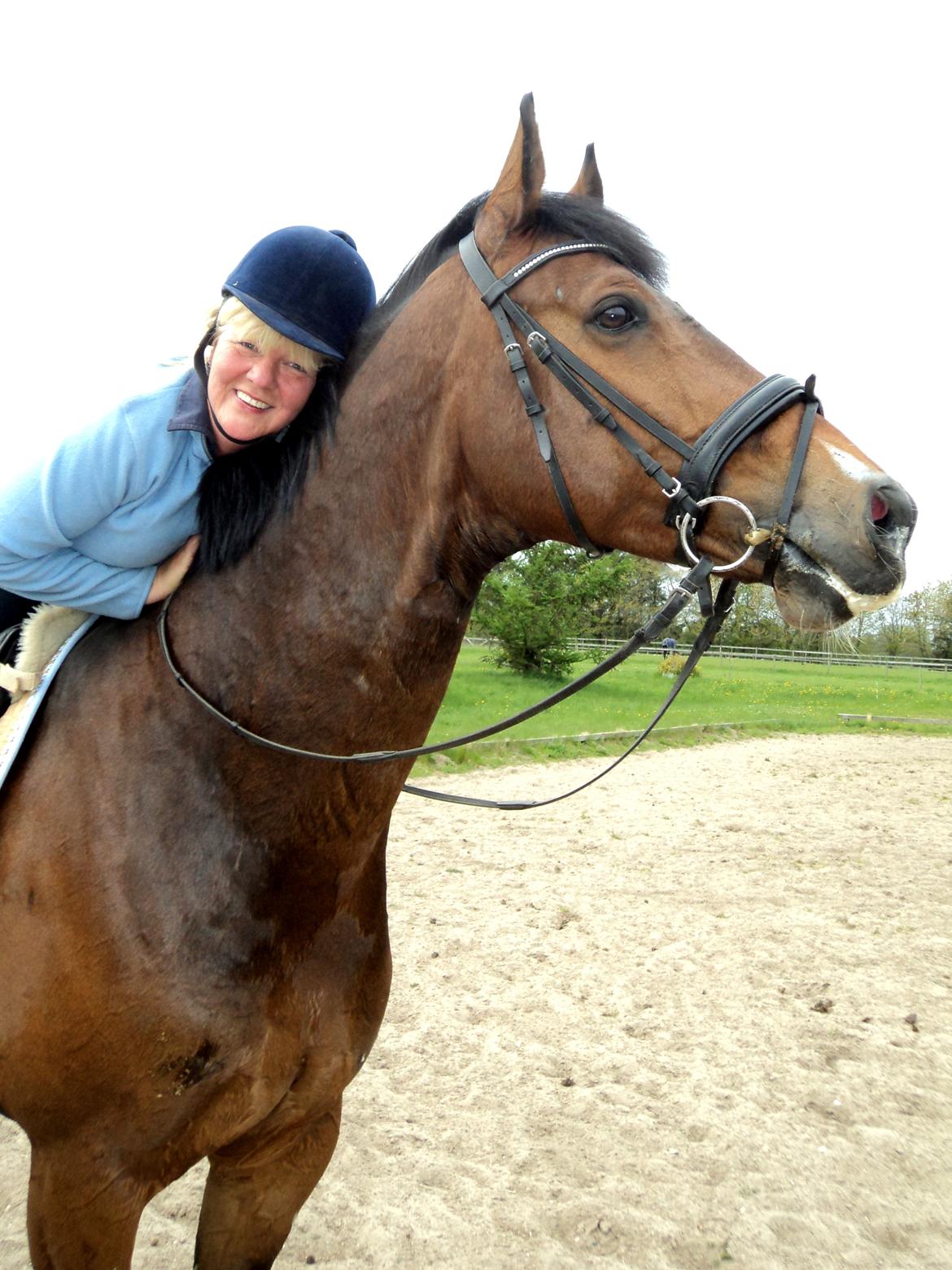 Hollandsk Varmblod B - Mor og B på banen :) billede 18