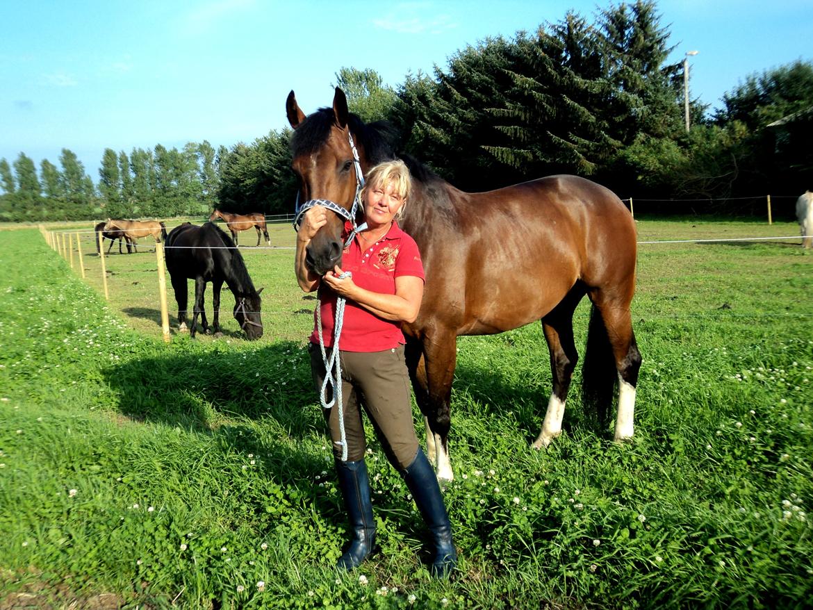 Hollandsk Varmblod B - Sommerhygge igen <3 billede 14