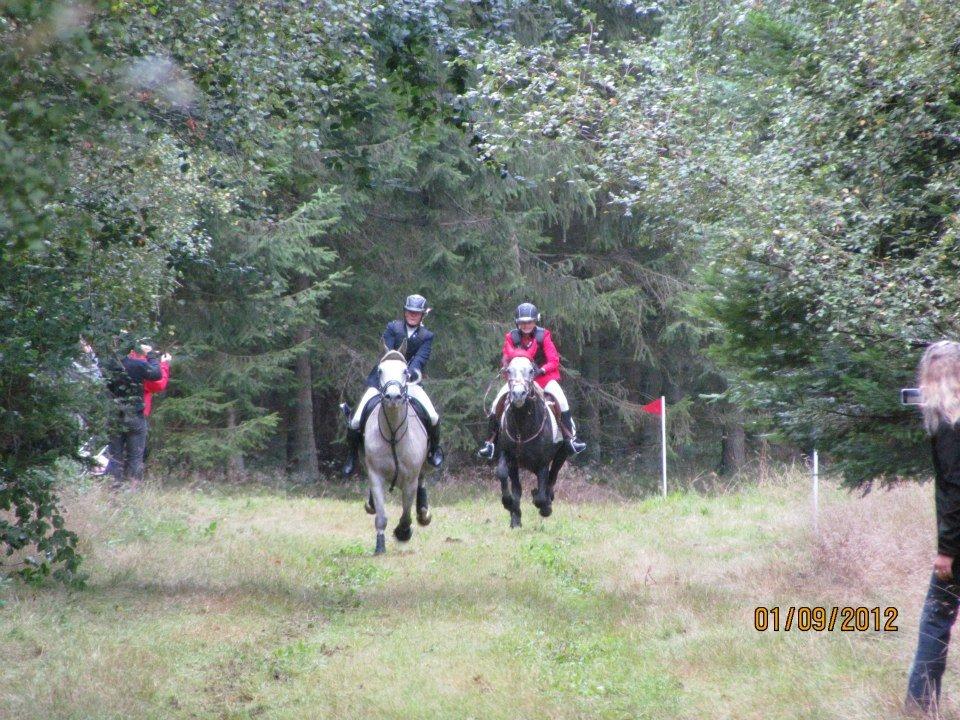 Connemara Bech's Mallachy - Jagt i OHR  2 plads 
Sammen med Emma Marie Hansen billede 16